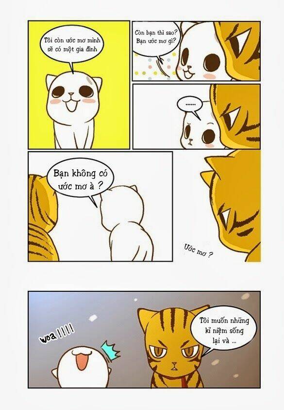 papi nyang chapter 17 15