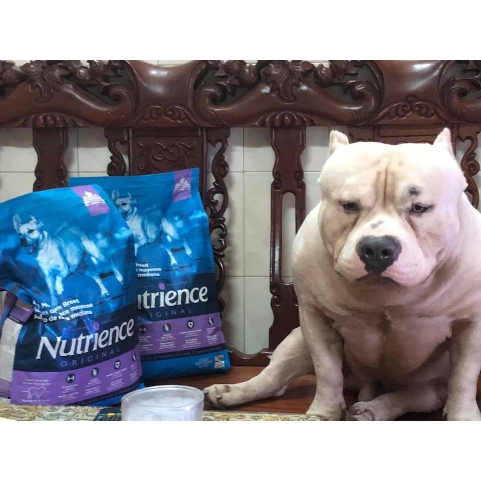 Thức Ăn Cho Chó Labrador, Nutrience Original Bao 5kg - Thức Ăn Cho Chó, Vị Thịt Cừu, Rau Củ, Trái Cây