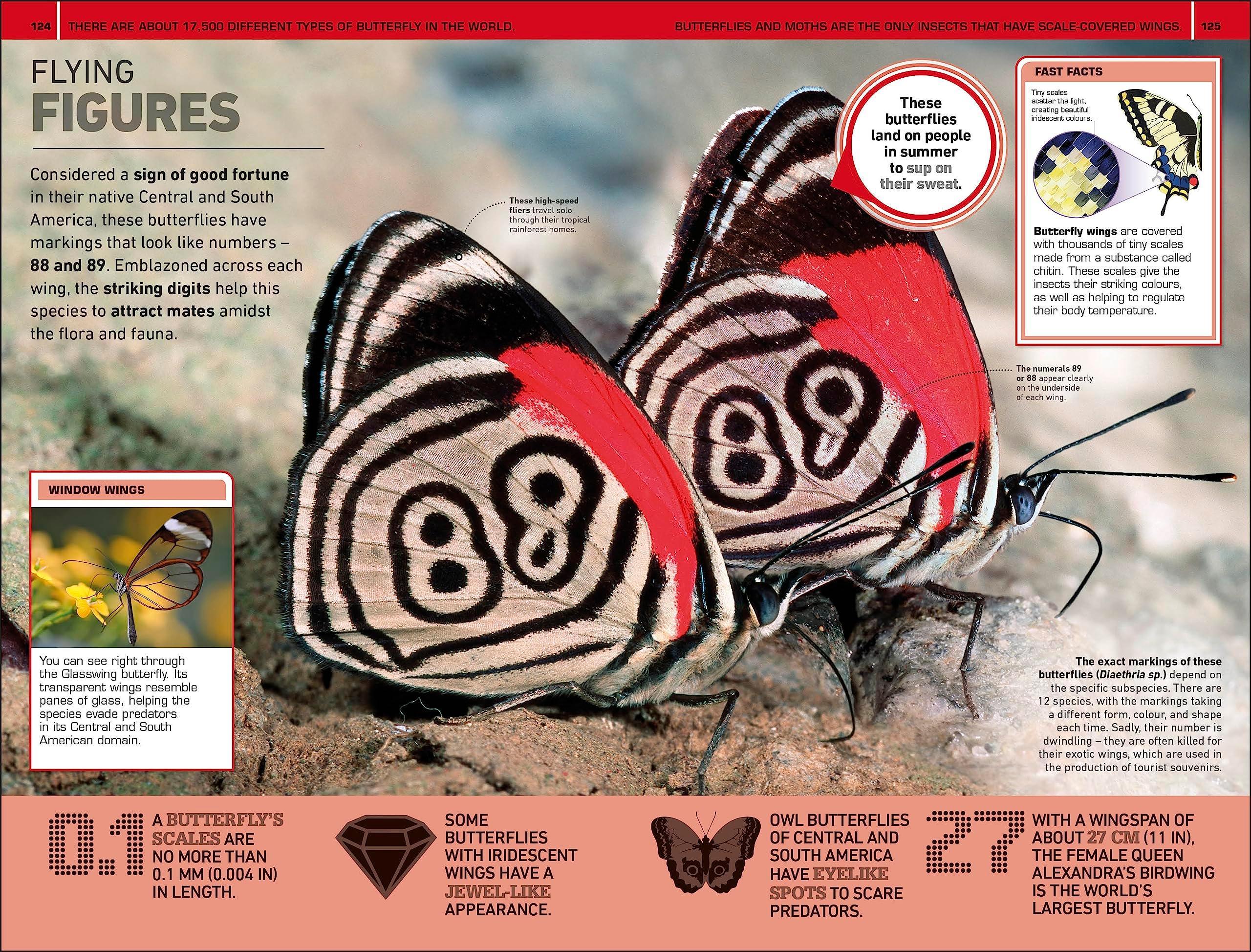 Sách ngoại văn: 1,000 Amazing Weird Facts