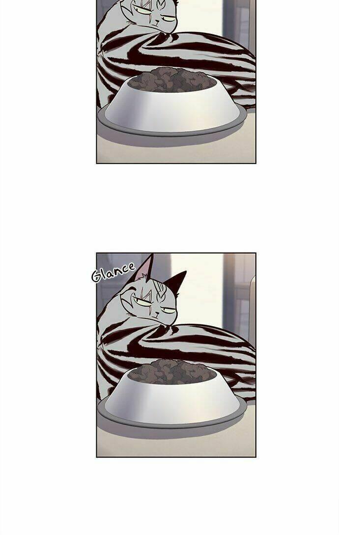 biến thân thành mèo chapter 22 28