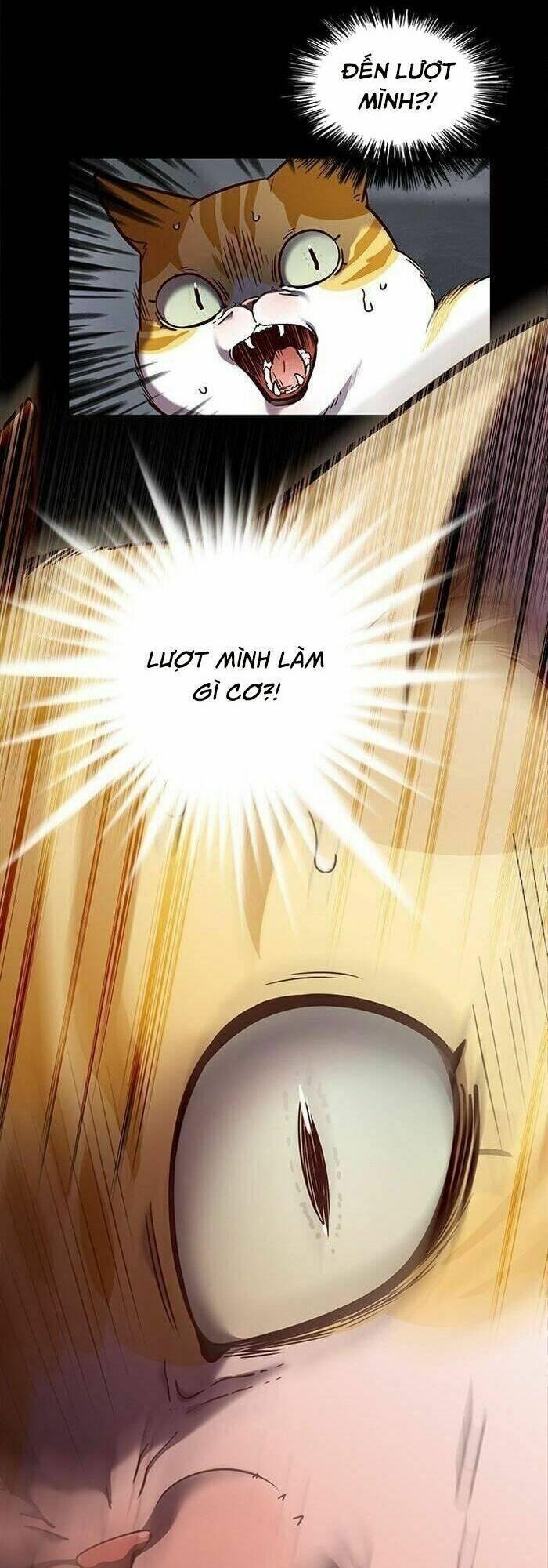 biến thân thành mèo chapter 56 9