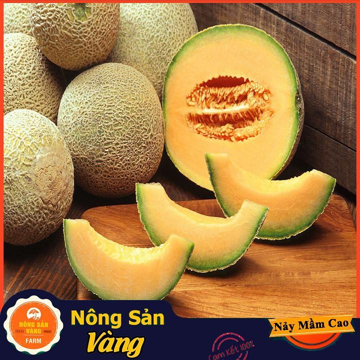 Hạt giống Dưa Lưới Ruột Vàng