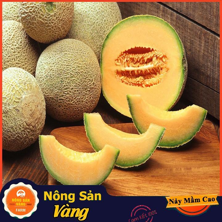 Hạt giống Dưa Lưới Ruột Vàng ( Gói 20 hạt ) - Nông Sản Vàng