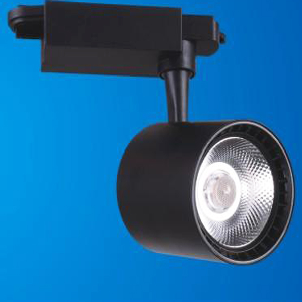 ĐÈN LED CHIẾU ĐIỂM THANH RAY 20W B20