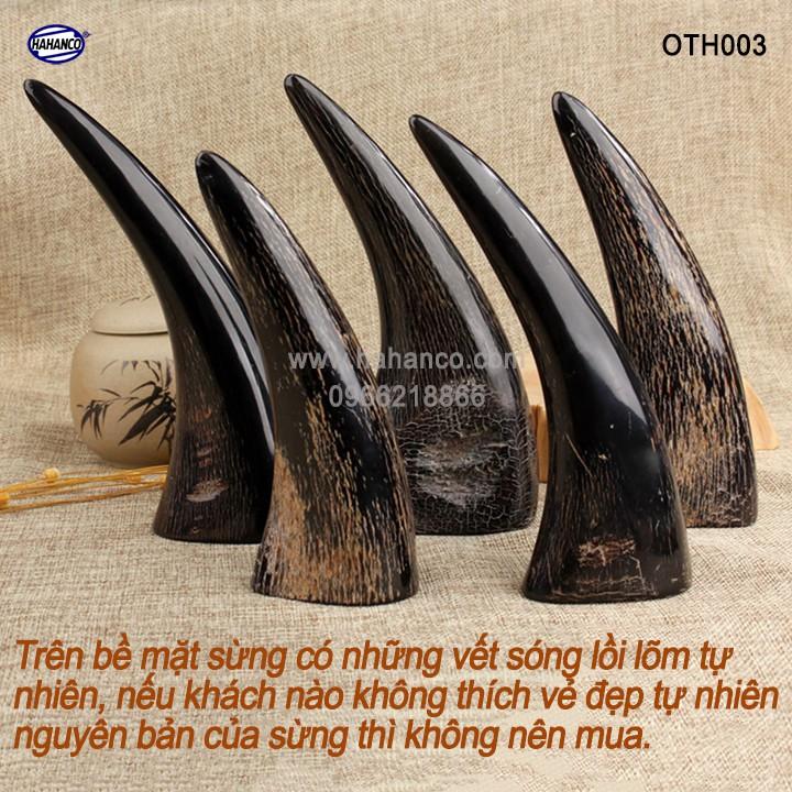 Chóp sừng trâu vật phẩm phong thủy (OTH003) HOT nhất của năm trâu vàng 2021 - giàu sang - phú quý