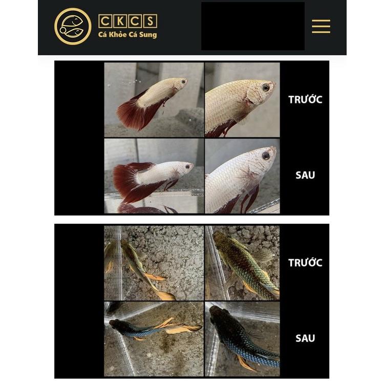 ParaKill - Đặc Trị Nấm trên cá cảnh- Sát trùng -phòng Chăm Sóc Cá Cảnh Nước Ngọt và Nước Mặn-shopleo-phụ kiện thủy sinh