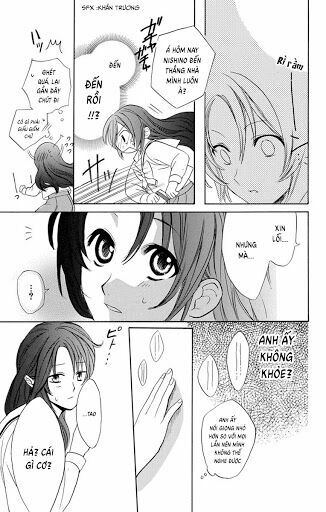 anitomo - bạn của anh trai tôi chapter 1 36