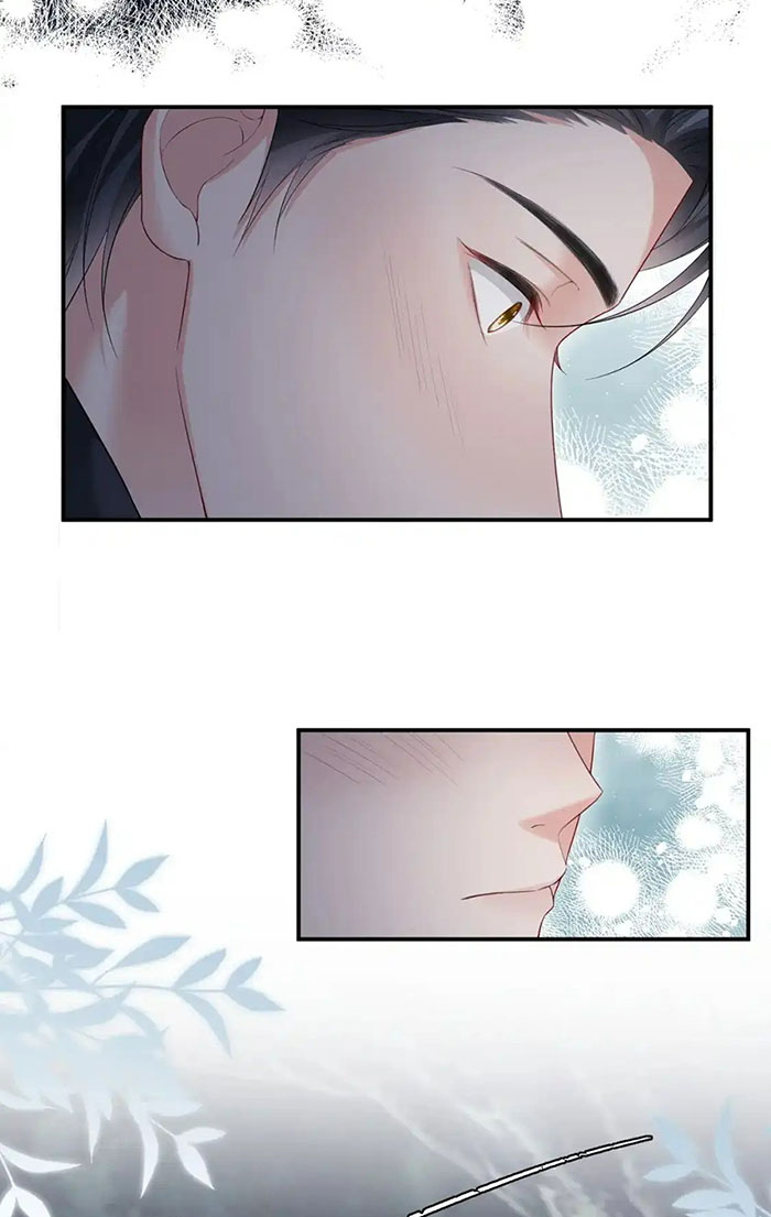 xin hãy ly hôn chapter 126 29