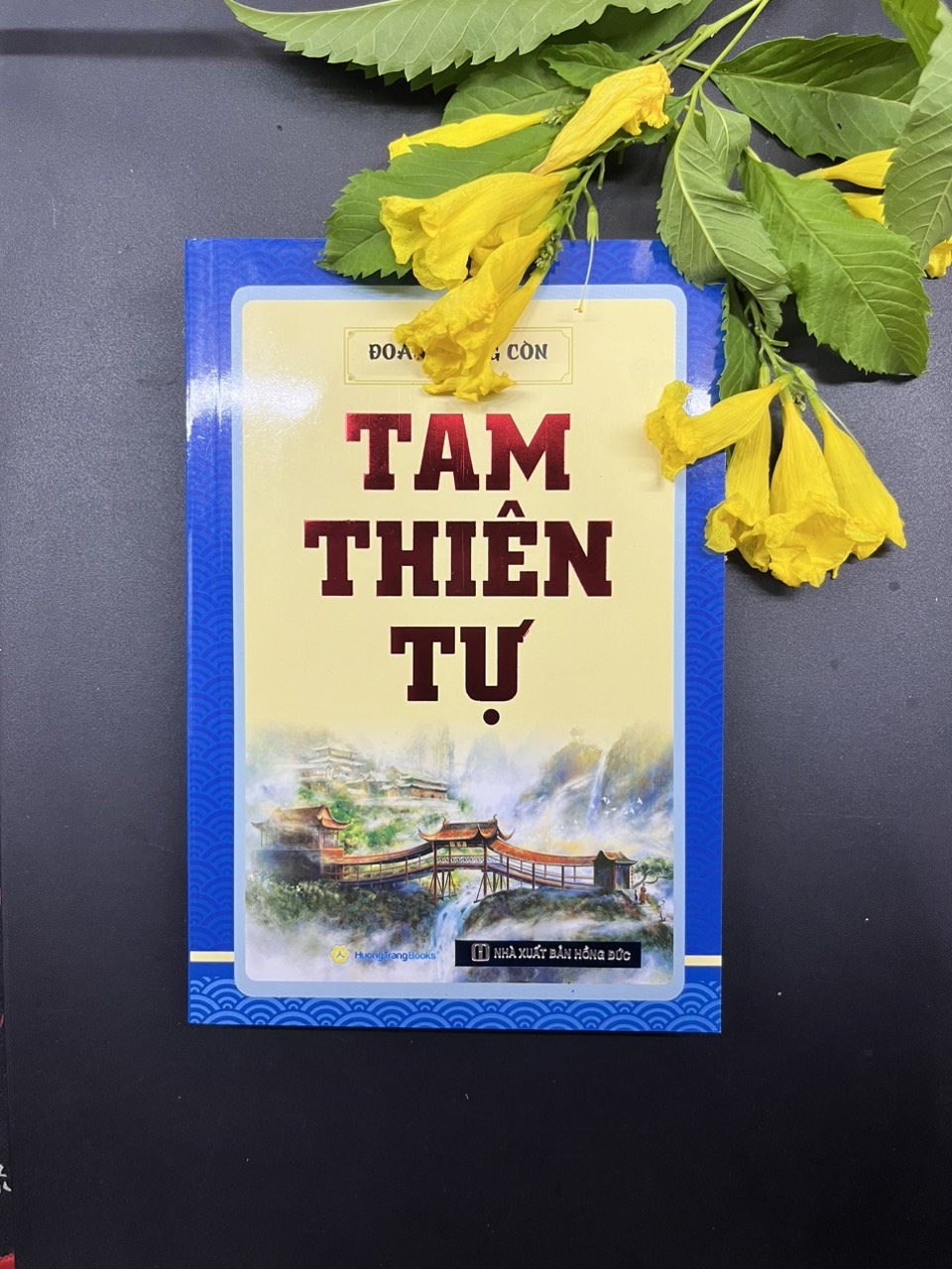 Tam Thiên Tự- Đoàn Trung Còn