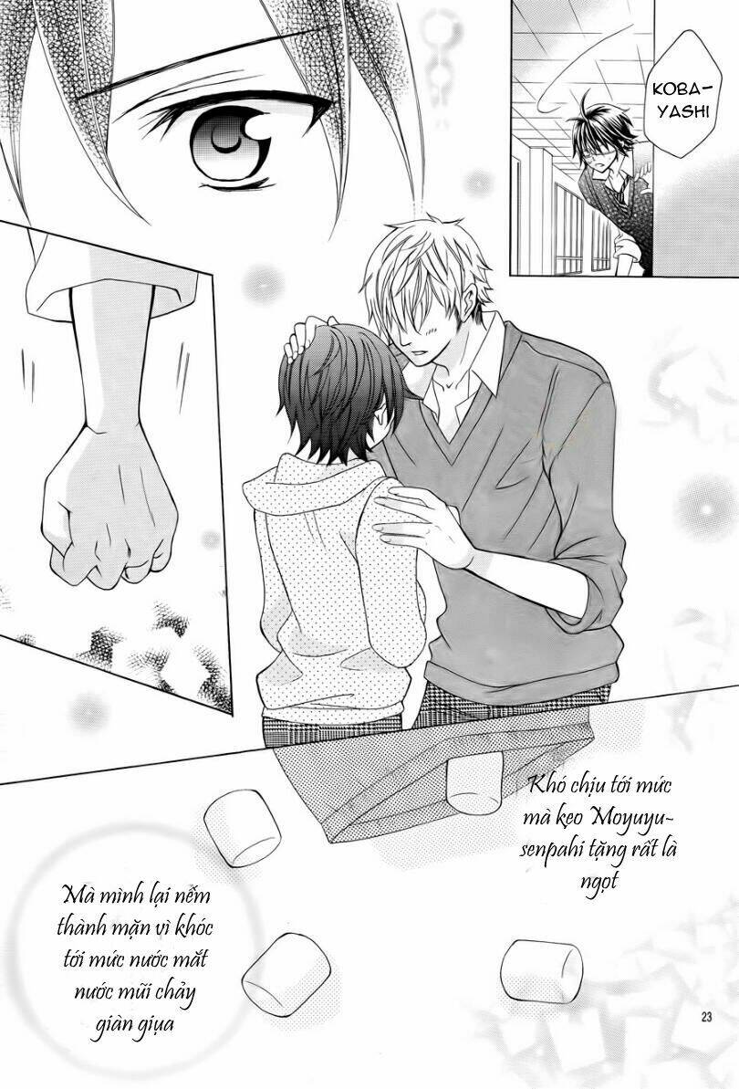 cuộc gặp gỡ diệu kỳ chapter 12 24