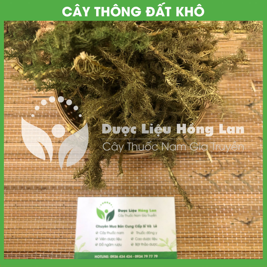 Cây Thông Đất khô sạch đóng gói 1 ký