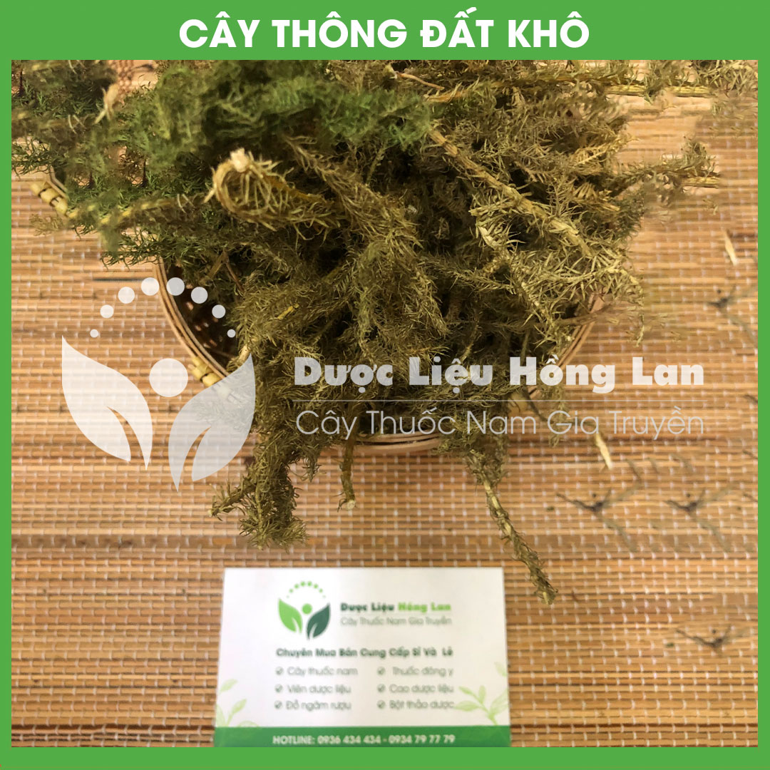 Cây Thông Đất khô sạch đóng gói 500gram