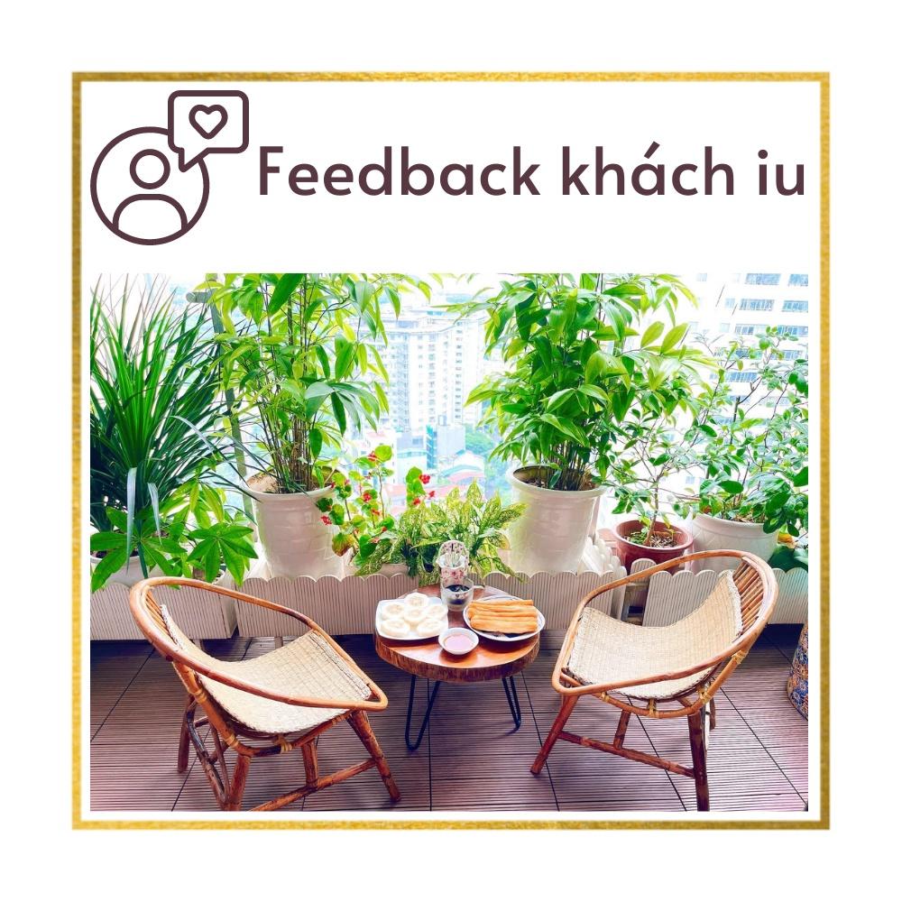 (Ghế Mây Cafe) Ghế Mây Sò tự nhiên, Ghế mây Cà Phê giá rẻ, Ghế ban công, Homestay ( có kèm lót cói