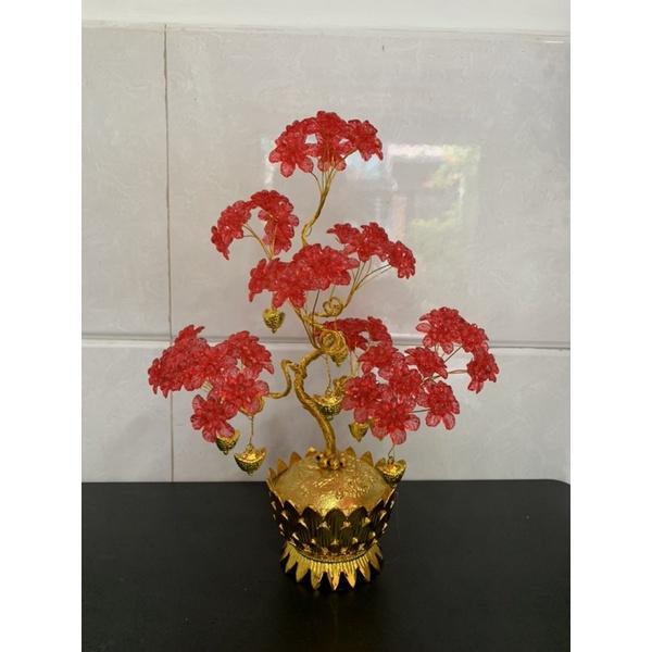 Chậu sen với hoa pha lê cao 30cm