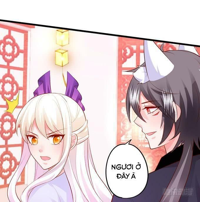 hồ tiên hung bạo chapter 137 16