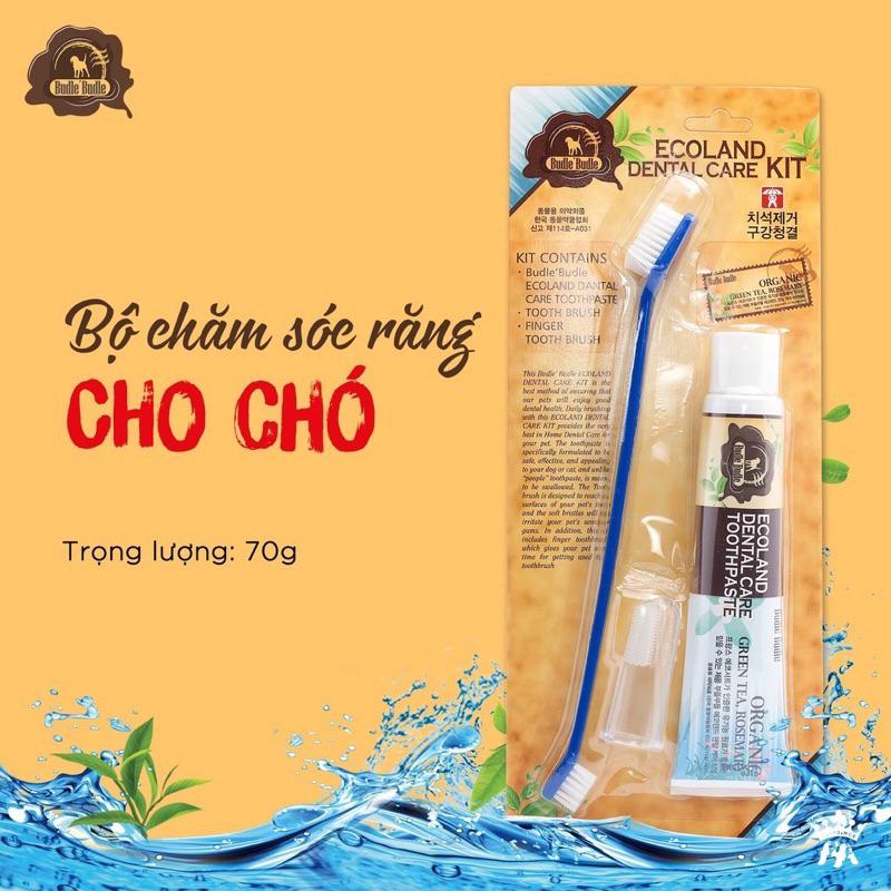 Combo kit kem đánh răng và bàn chải Budle Budle cho chó mèo