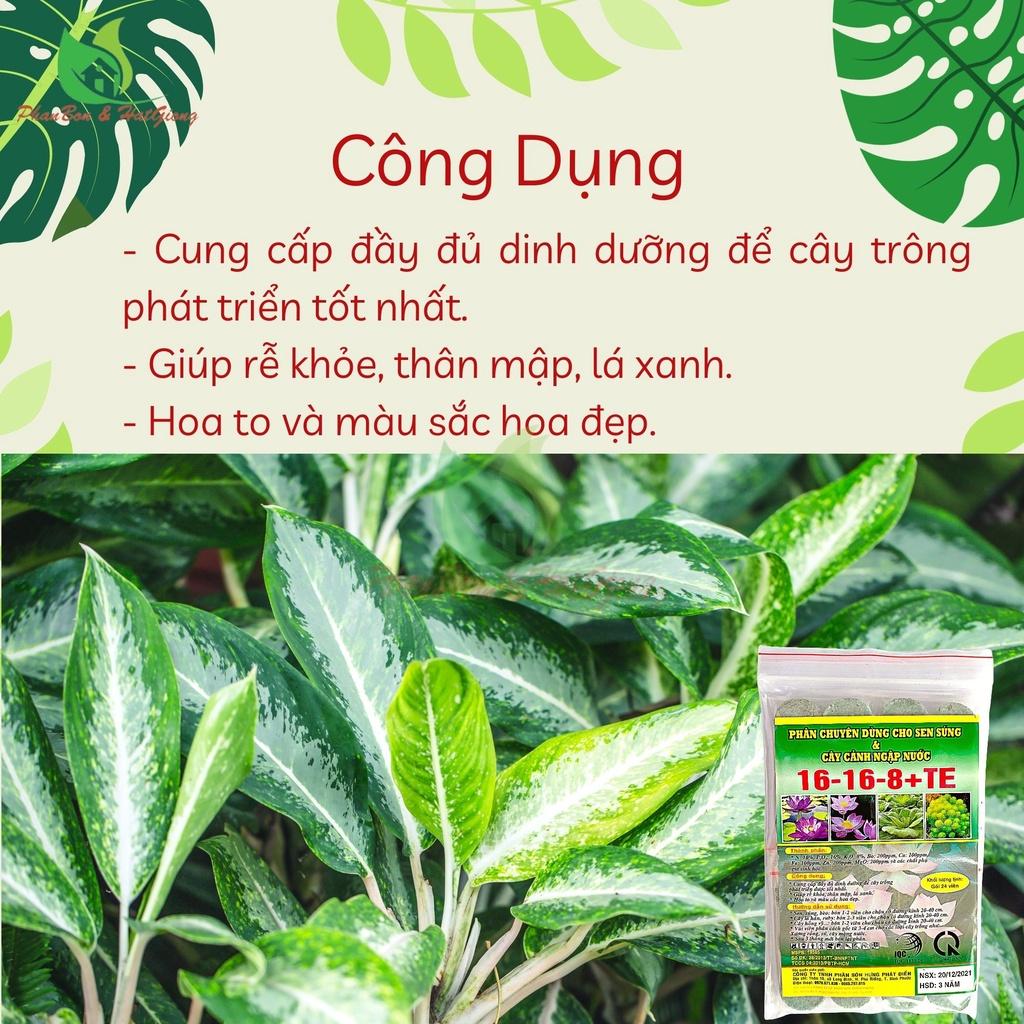 Phân Bón Hoa Sen Và Cây Ngập Nước NPK 16-16-8+TE Gói 24 Viên