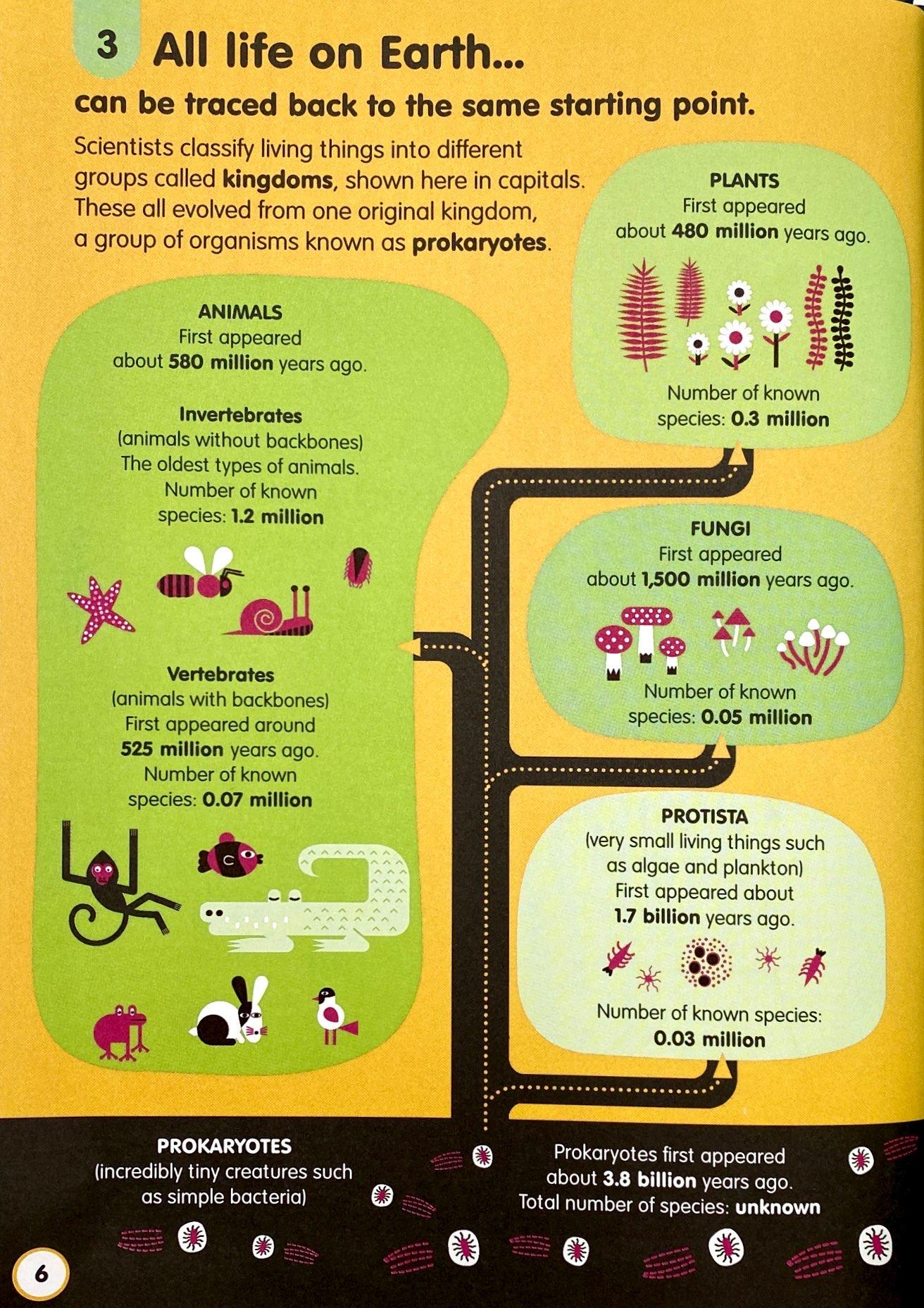 Sách Usborne 100 Things to know about Science