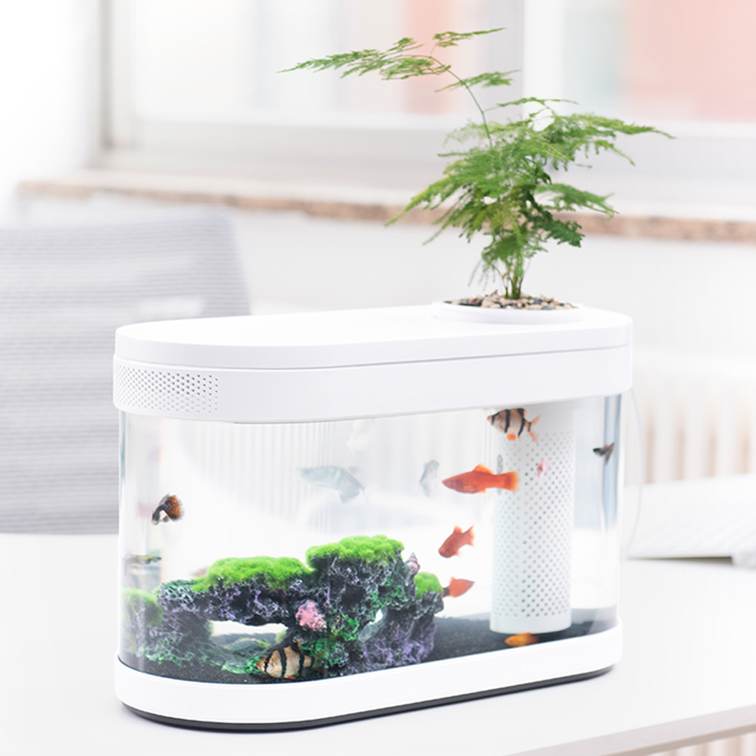 Mô hình lưỡng cư HFJH trang trí bể cá cảnh YYB 003 Hàng Chính Hãng