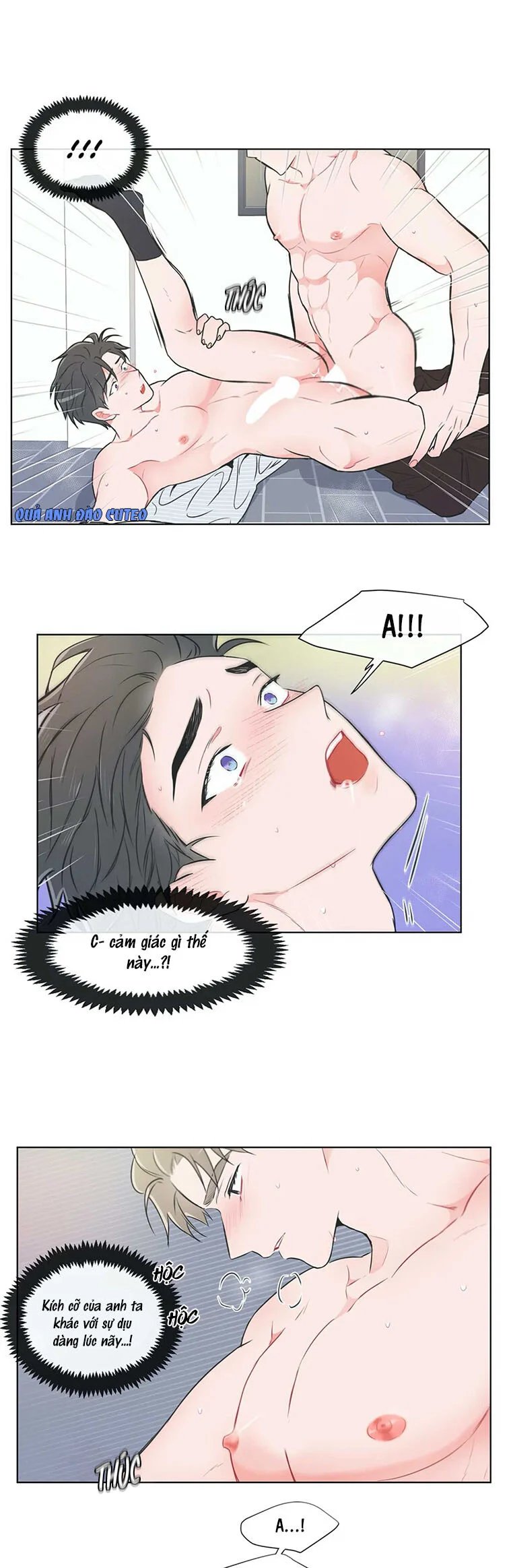 anti p.t chapter 40 8