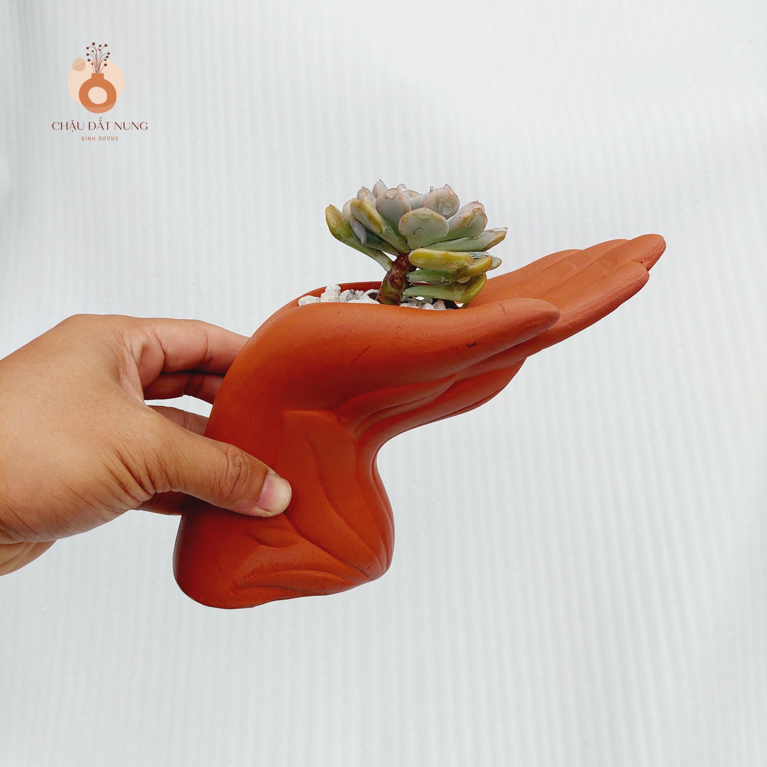 Chậu đất nung Bình Dương - Bàn tay của người tôi yêu, miệng chậu 6cm, chiều cao 15cm