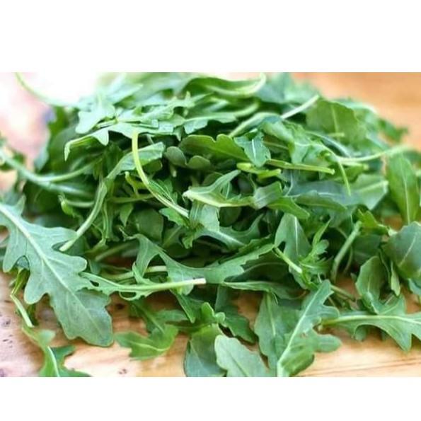 Hạt giống rau xà lách Rocket - Arugula 300 hạt