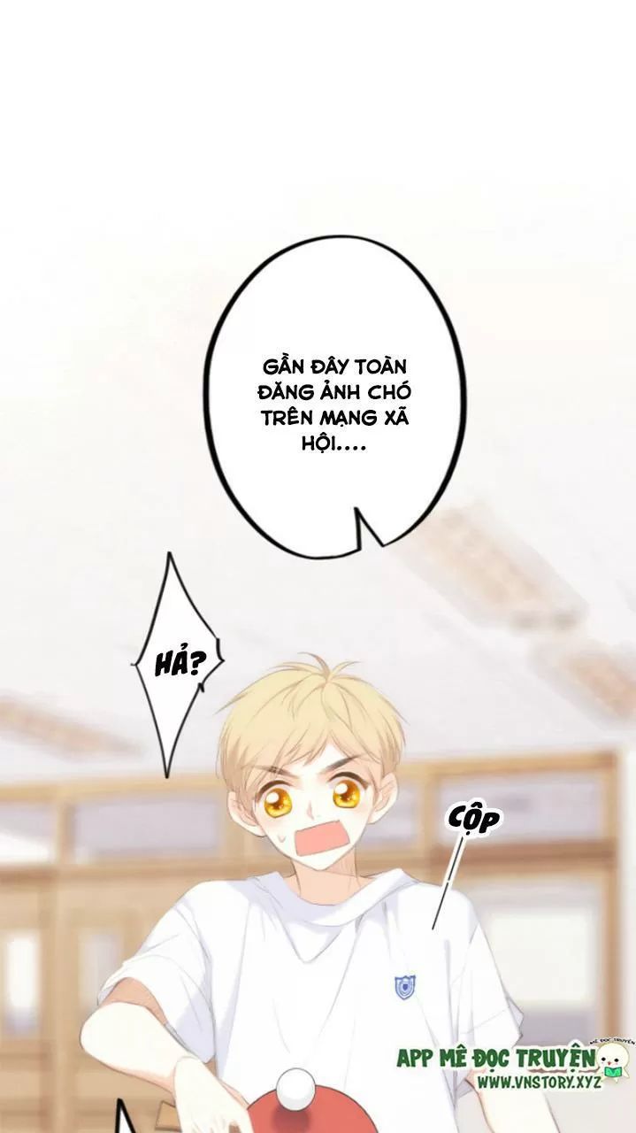 Con Tim Rung Động 2 chapter 126.5 - Trang 19