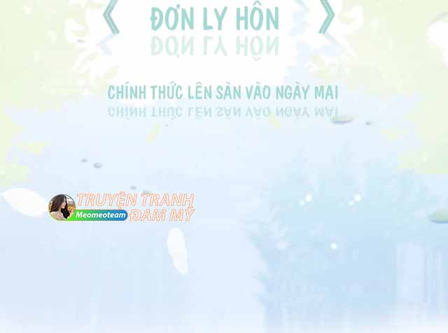 ĐƠN LY HÔN chapter 0