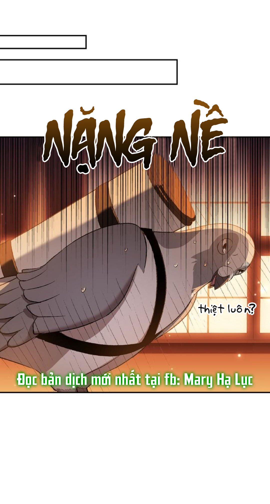 cha à, con không muốn kết hôn đâu chapter 60 15