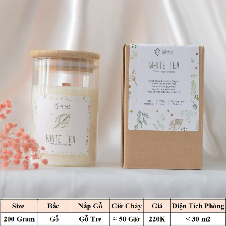 Nến thơm trong lành và thanh mát AGAYA Candle Cup hương cam,xạ hương,hoa nhài,bạch trà - Mùi WHITE TEA