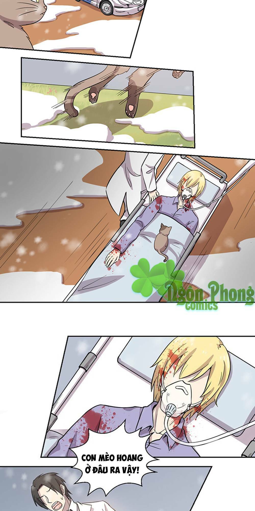 hai chú mèo totem chapter 24 10