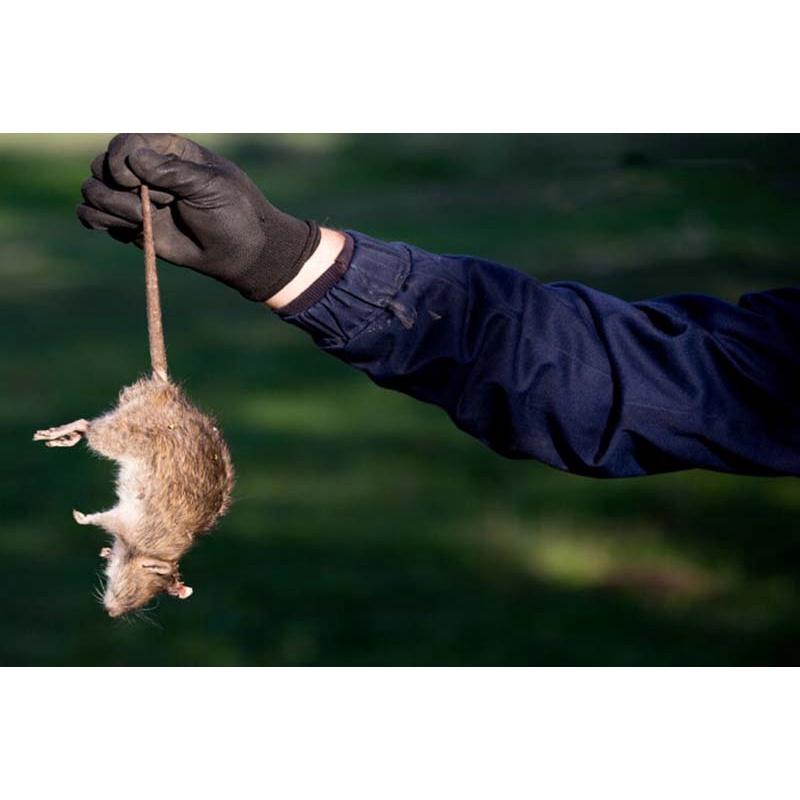 Bộ 10 Gói 10g chế phẩm diệt chuột hiCate trừ mọi loại chuột hiệu quả cao, thân thiện môi trường