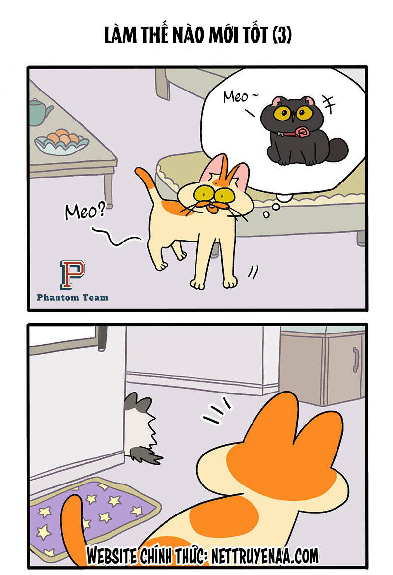 a mãn và mạch trà chapter 39 5