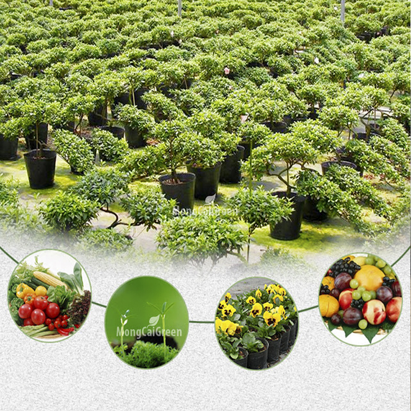 300 Chậu nhựa PE dẻo C11 miệng cao 28x23cm trồng cây bền từ 5 đến 10 năm-0077106