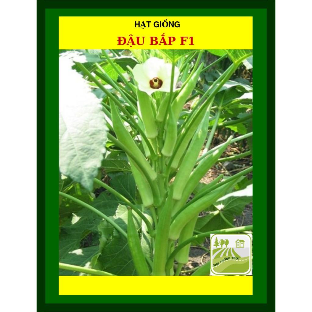 Hạt Giống Đậu Bắp Cao Sản Nam Bộ 50 Gram