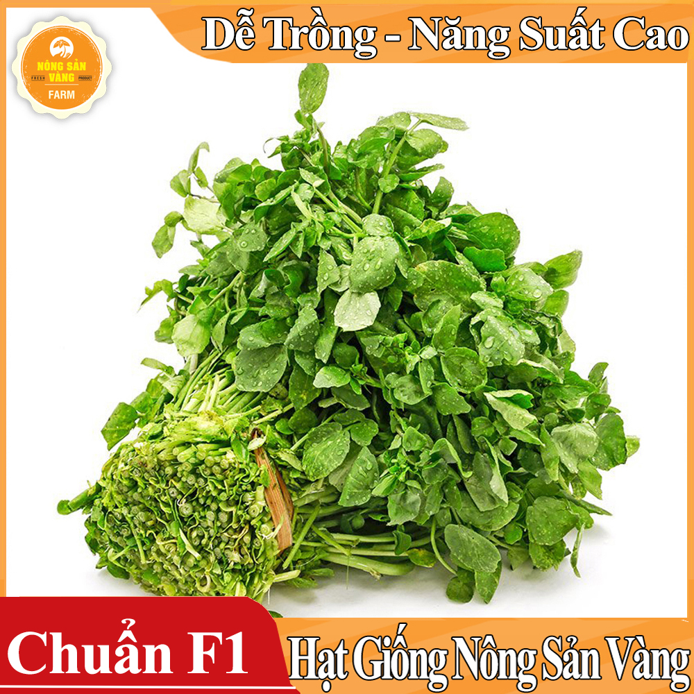 Hạt giống Xà Lách Xoong - Nông Sản Vàng