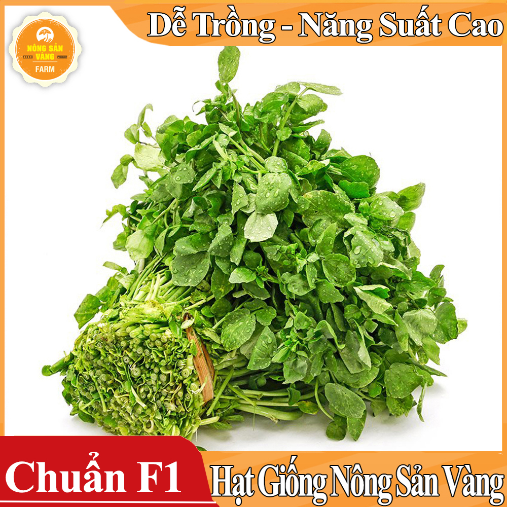 Hạt giống Xà Lách Xoong ( Gói 0,5 Gram ) - Nông Sản Vàng