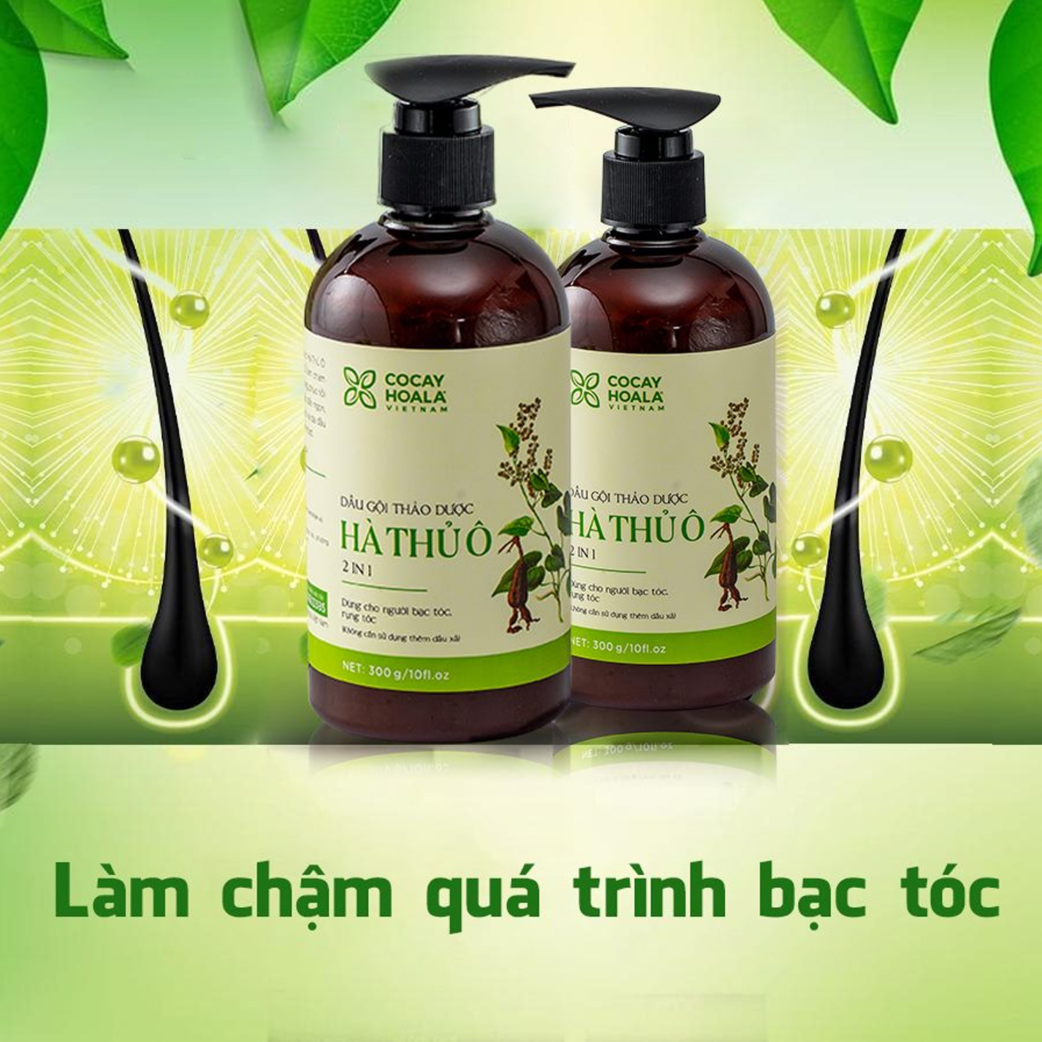 Dầu gội thảo dược Hà Thủ Ô Cỏ Cây Hoa Lá chiết xuất 100% từ thiên nhiên giúp làm chậm quá trình bạc tóc, phục hồi tóc hư tổn COCAYHOALA 300g