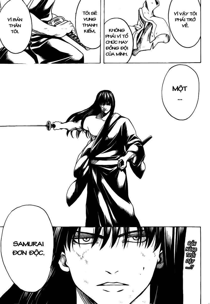 gintama - linh hồn bạc chapter 562 17