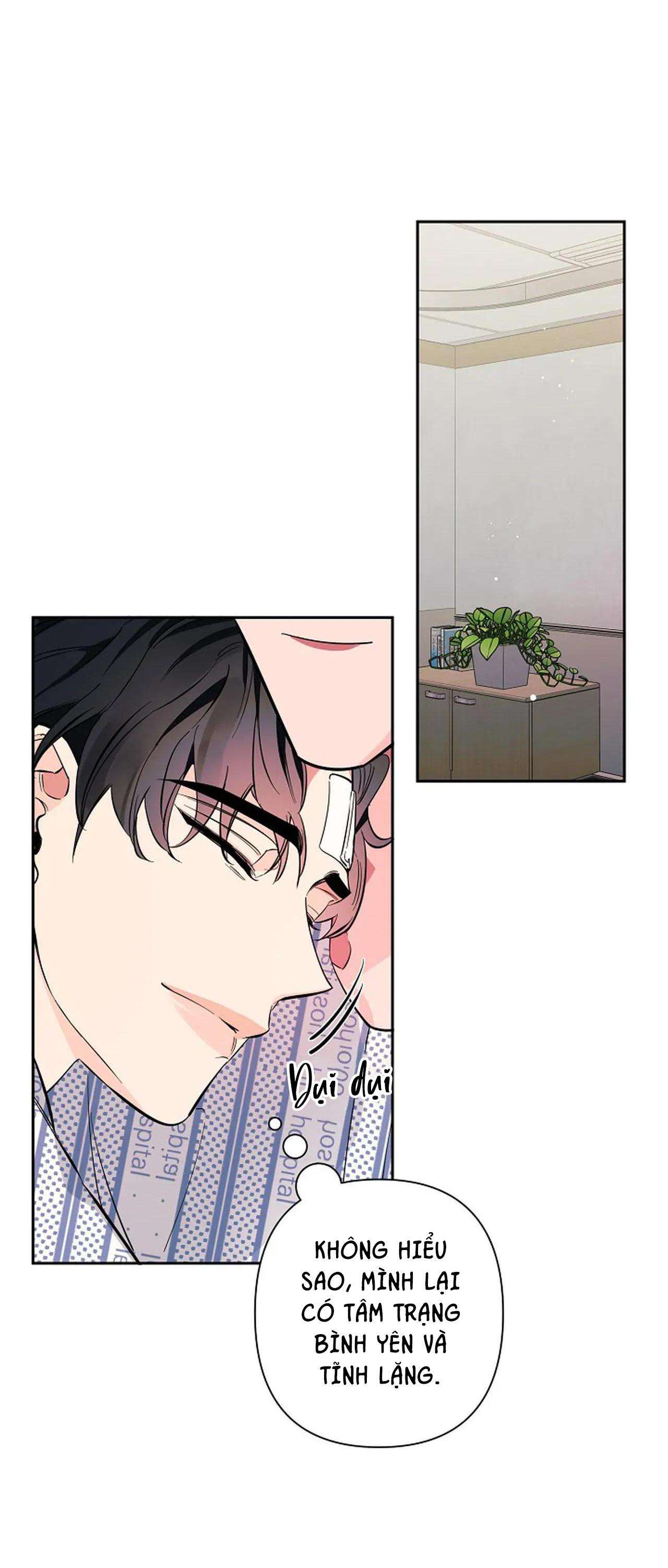 đêm dịu dàng chapter 68 8