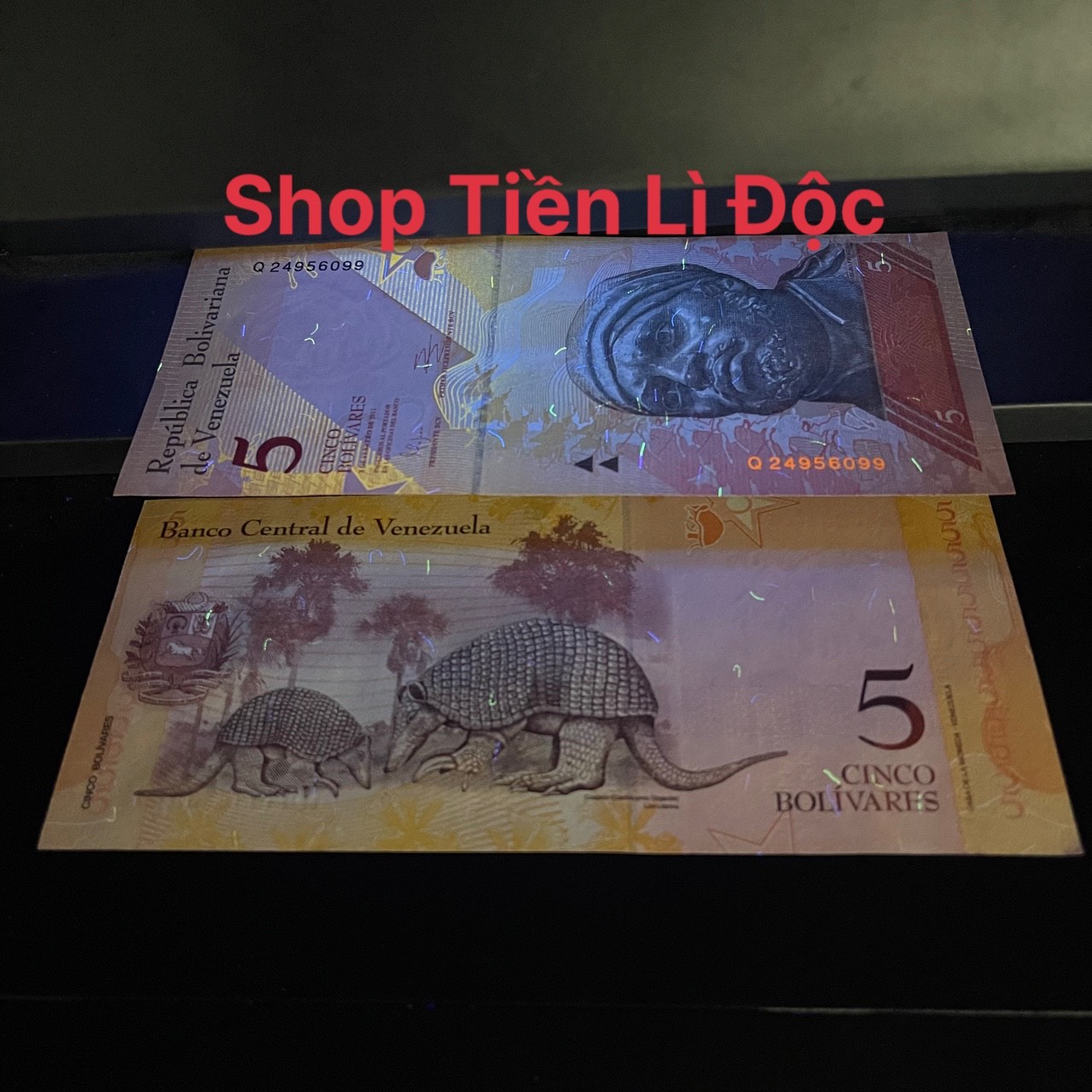 Tờ Tiền Venezuela 5 Bolivares Mới 100% , Thích Hợp Sưu Tầm, Lì Xì, Biếu Tặng