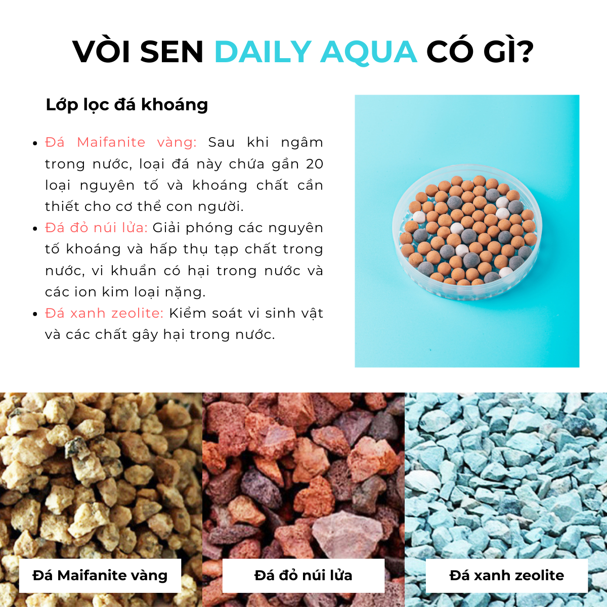 Bộ Sản Phẩm Lọc Nước Daily Aqua - Combo Trải Nghiệm Vòi Sen, Vitamin, Đầu Vòi Bồn Rửa Tay, Rửa Chén