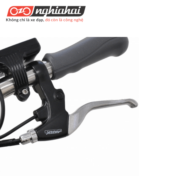 Xe đạp trợ lực điện Nhật Bản VIEW ASL243KDZ