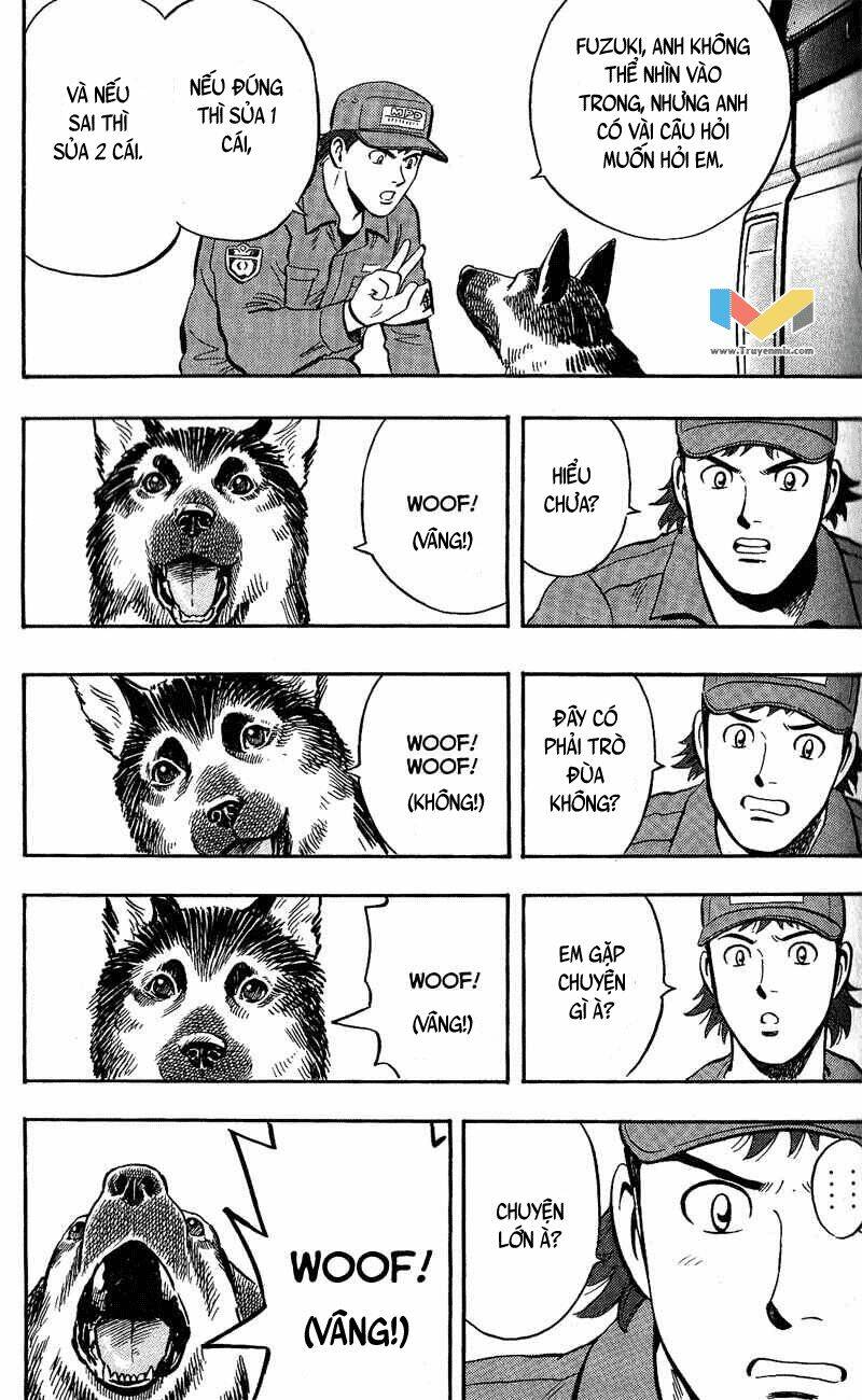 animal sense chapter 8 32