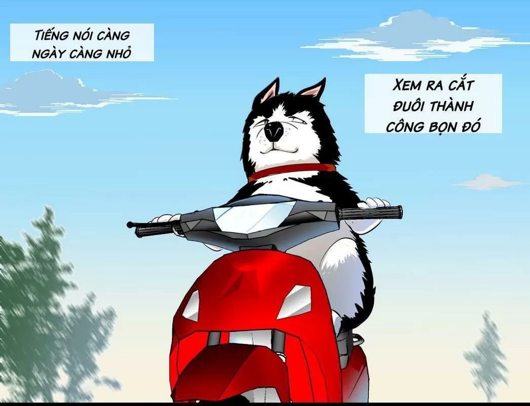 một con chó chapter 62 2