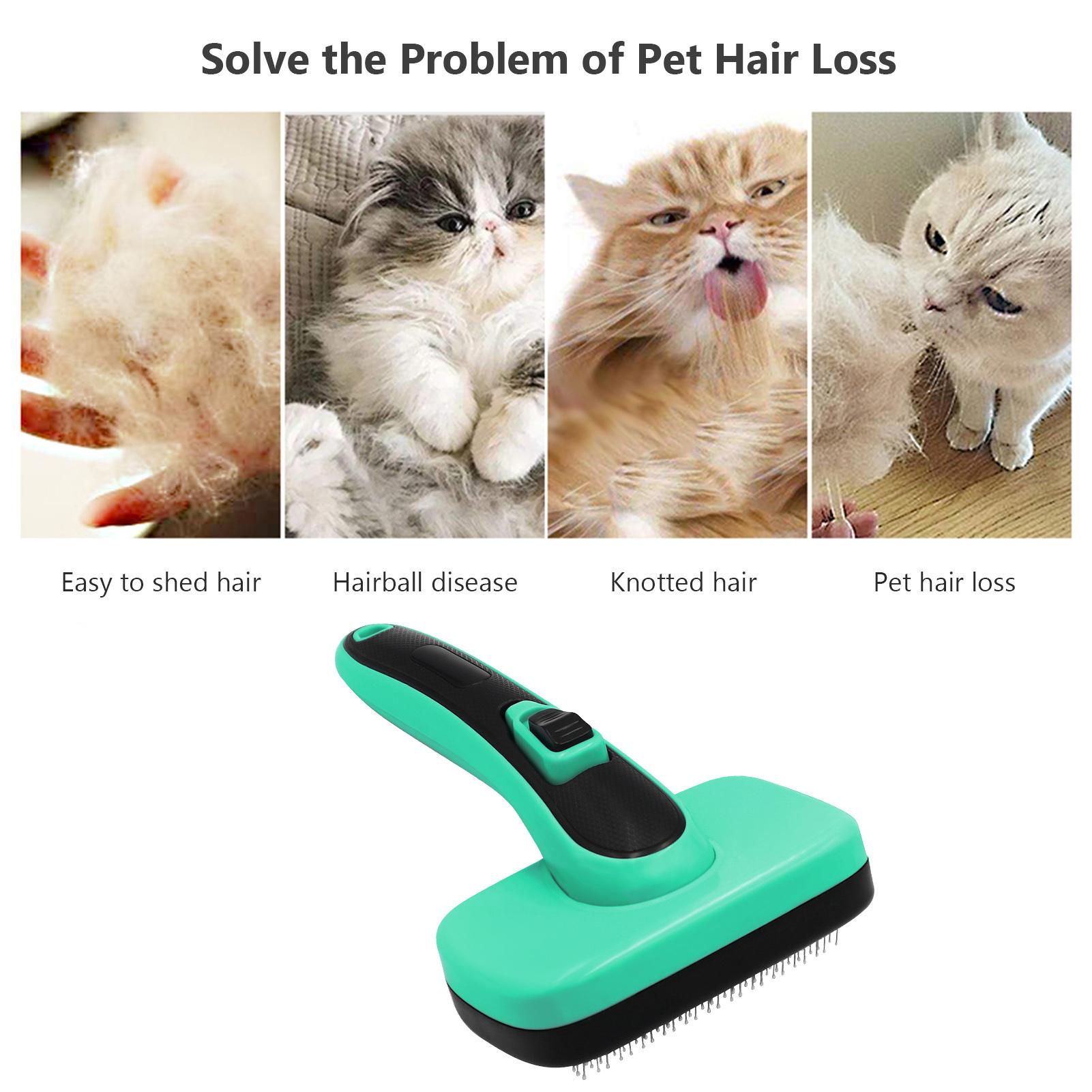 Bàn làm sạch, chải lông cho thú cưng