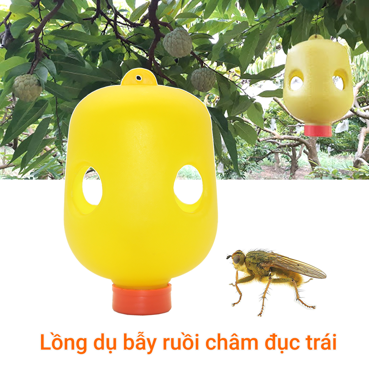 Bộ 5 Lồng dụ bẫy ruồi châm đục trái