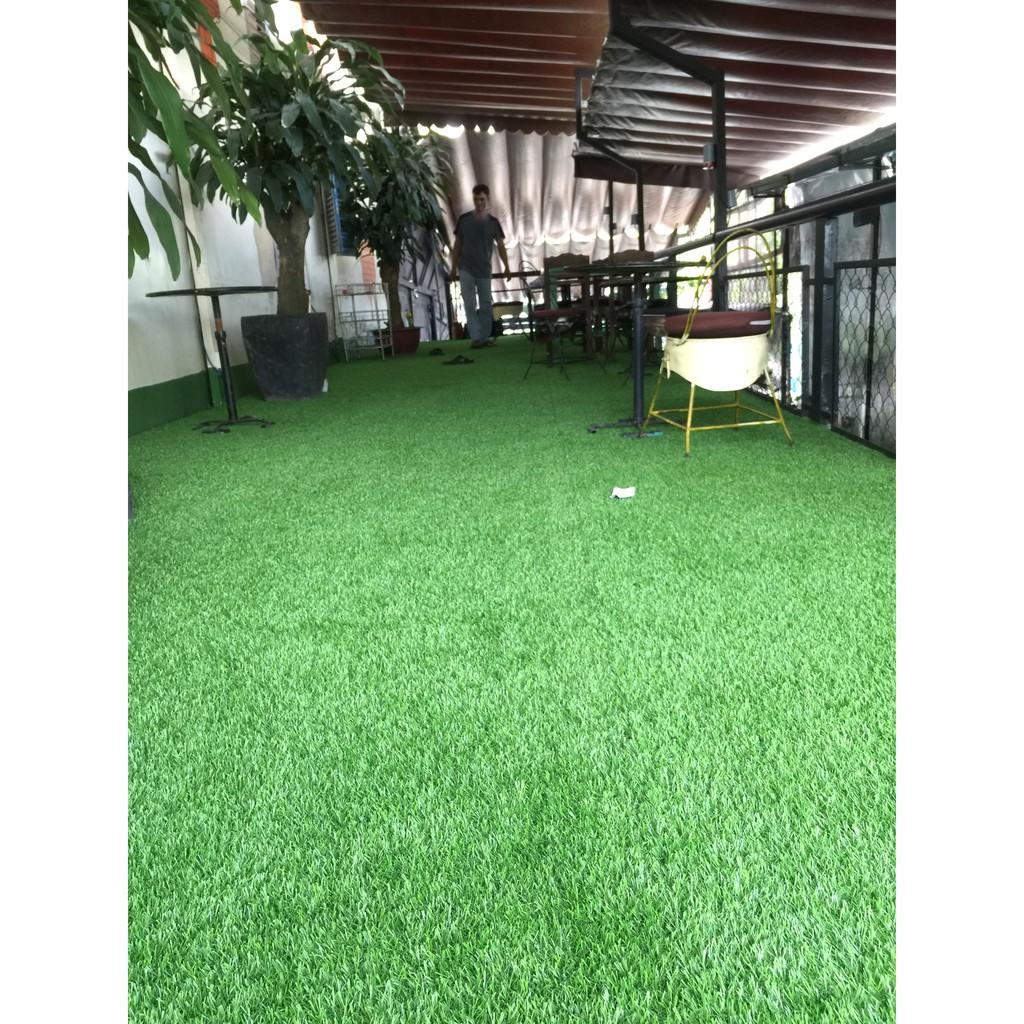 COMBO 10M2 Cỏ Thảm Trải Sàn - Treo Tường - Cỏ Nhân Tạo nnnnnnnnnnnnnnnnnnnnnnnnnn -Sân Bóng