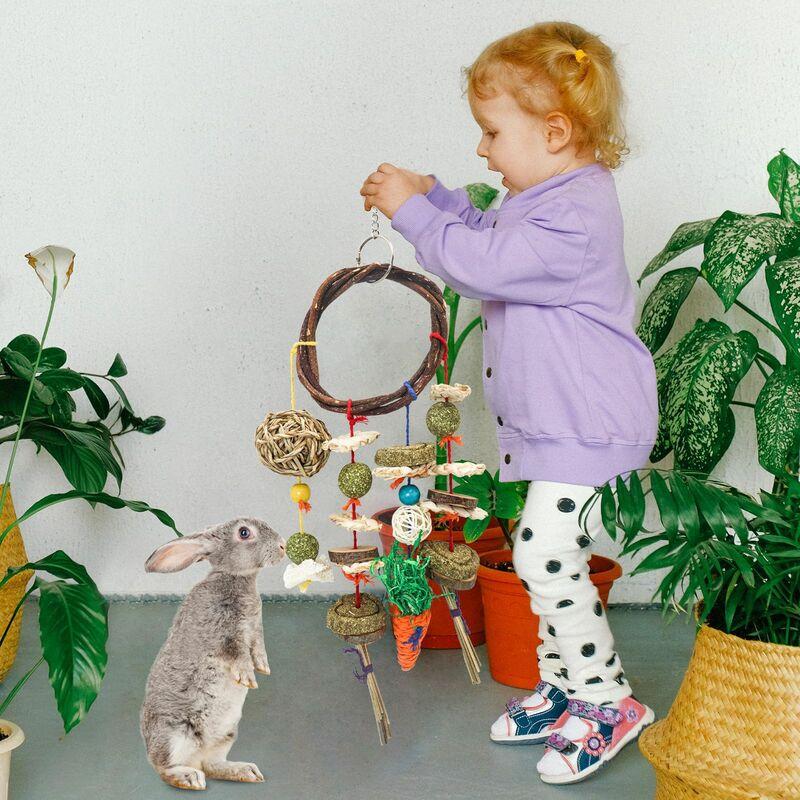 Hình ảnh Thú cưng của chuột Hamsters thỏ nhai đồ chơi và  chăm sóc nha khoa và nhai