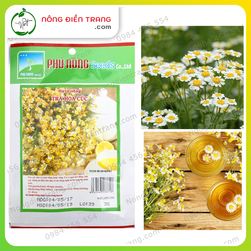 Hạt Giống Trà Hoa Cúc Phú Nông - Gói 3g - Dễ trồng, Không kén đất, Sinh trưởng mạnh. Kháng bệnh tốt  VTNN Nông Điền Trang